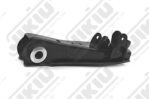 ARM ASSY, SUSPENSION JIKIU RA21004L